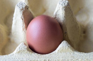 karton kutu içinde yumurta 