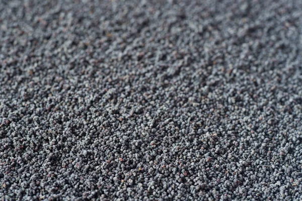 Heap of dried poppy seed — Stock Photo, Image