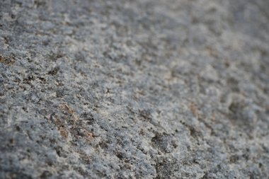 seçici odak arka plan gri granit taş 