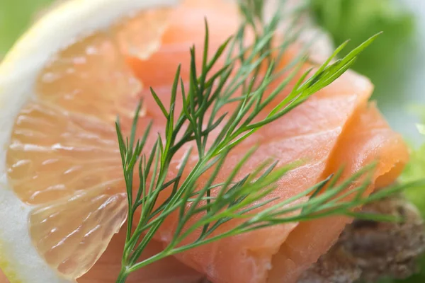 Healthy  open sandwich with  salmon and dill selective focus mac — Stock Photo, Image