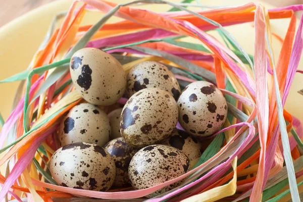 Décoration de Pâques avec des œufs de qail — Photo