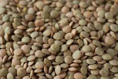 yeşil mercimek makro