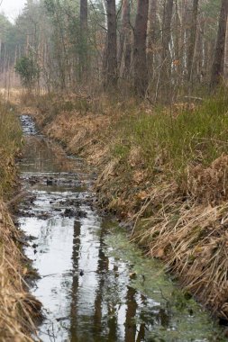 Sulama hendek ormanda