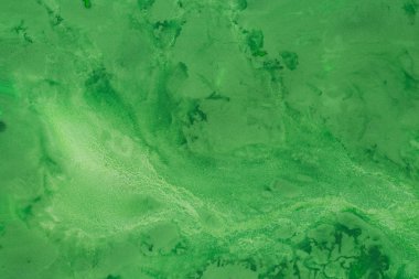 Yeşil sulu boya boyalı arka plan dokusu 