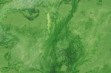 Yeşil sulu boya boyalı arka plan dokusu 