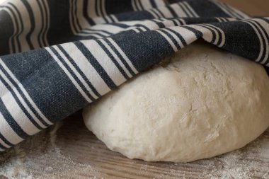 Maya dought ahşap tablo 