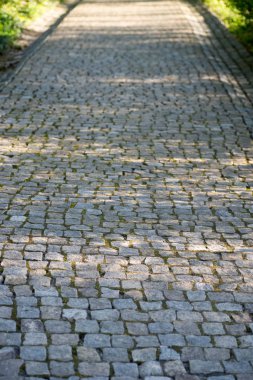 Taş yürüyüş yolu 