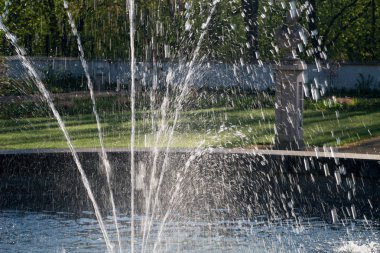 fauntain Park güneşli