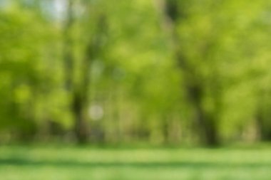 Bahar doğa ağaçlar ile arka plan defocused 