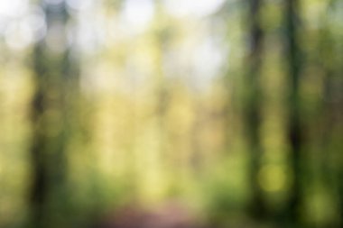 ufuk bahar orman arka plan 