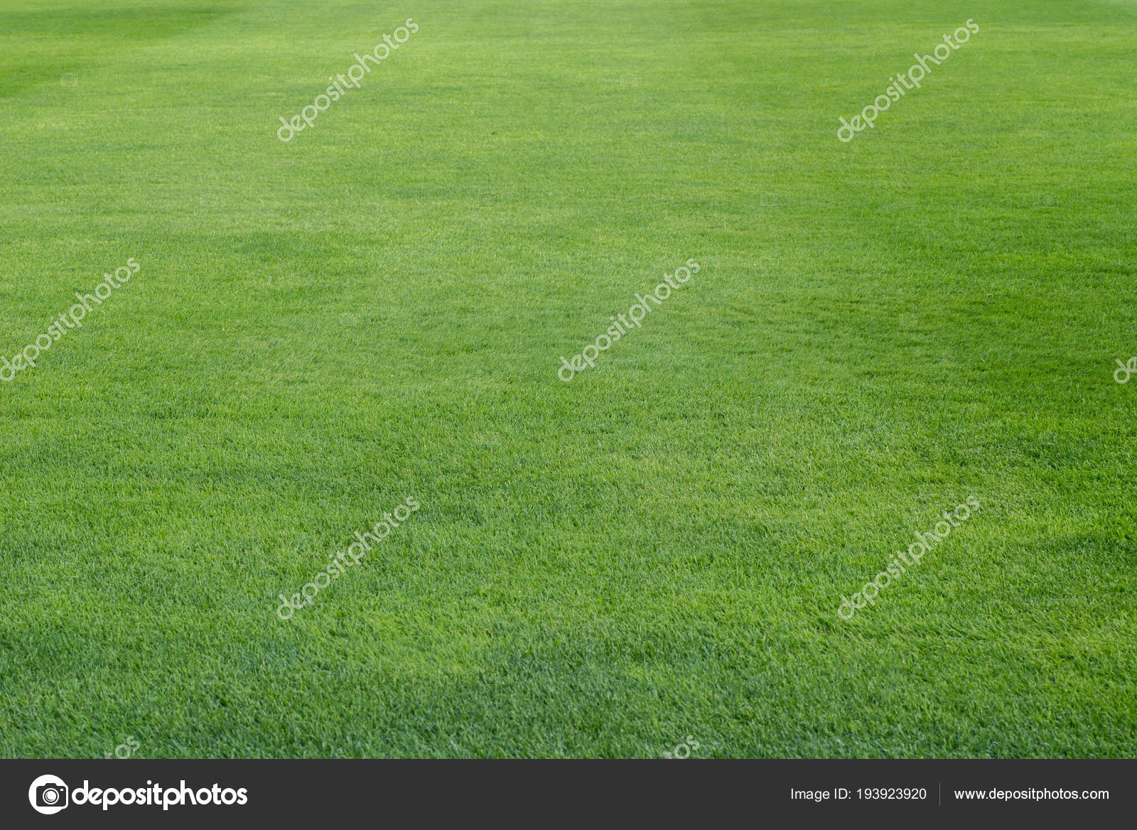 Green grass on playing field background — Stock Photo © aga77ta #193923920