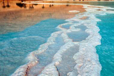 Dead Sea seashore clipart