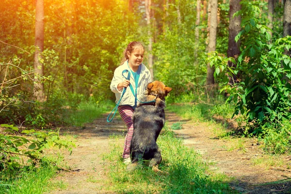 Liten flicka som leker med hunden — Stockfoto