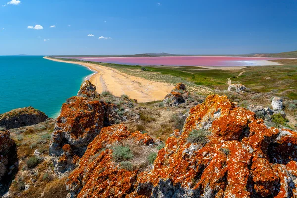 Pembe gölün panoramik manzaraya