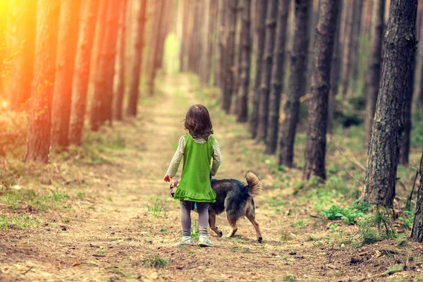 Bambina che cammina con il cane — Foto Stock