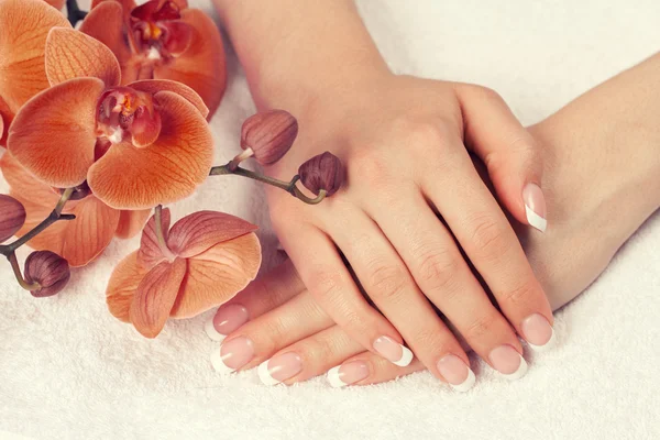 Mani femminili con manicure francese — Foto Stock