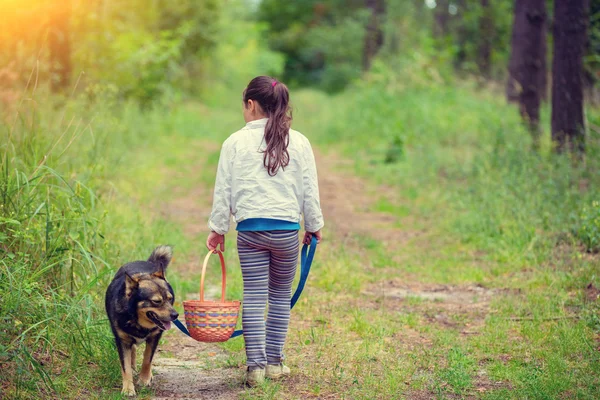 Girl walk with dog — Stock Photo, Image