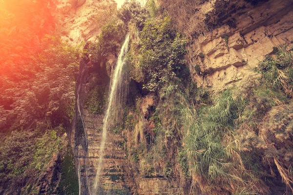 A cachoeira de David em Ein Gedi — Fotografia de Stock