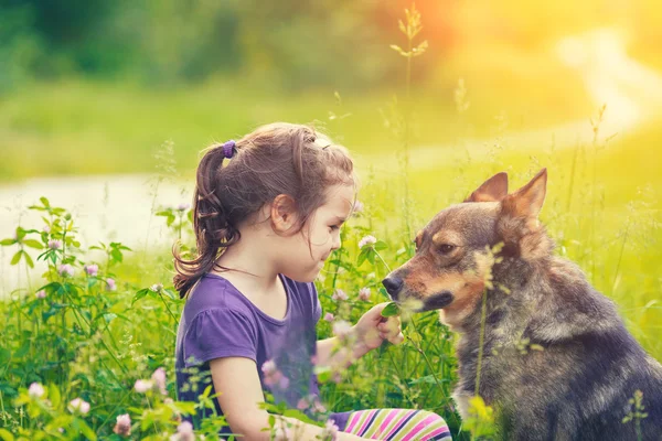 Little girl with dog — Stock Photo, Image