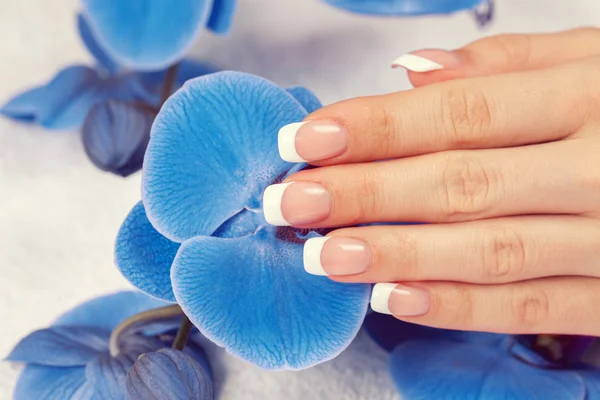 Vrouwelijke hand met Frans manicure — Stockfoto