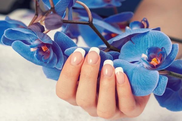 Vrouwelijke hand met Frans manicure — Stockfoto