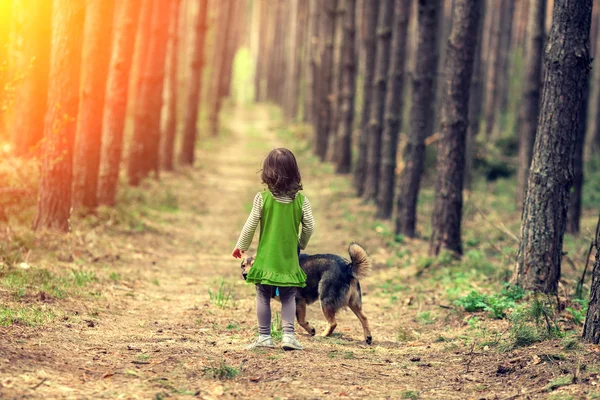 Küçük kız köpekle yürüyor. — Stok fotoğraf