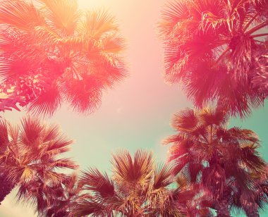 Tropic palmiye ağaçları ile Vintage çerçeve