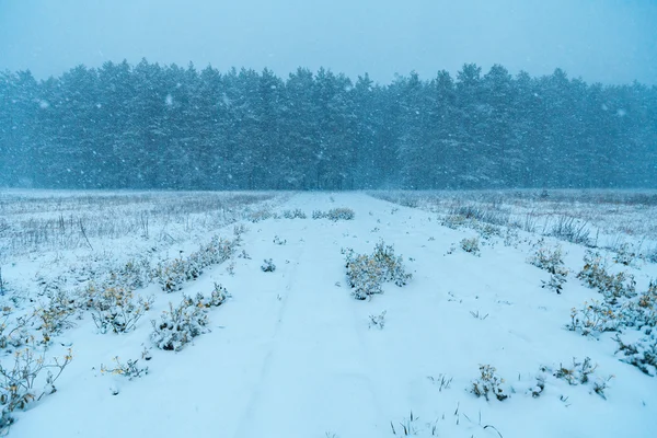 Фото Поле Снег