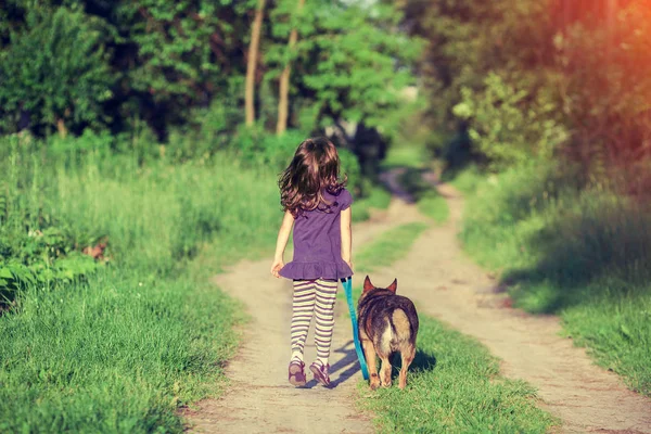 Küçük kız bir köpeği yürüyüş — Stok fotoğraf