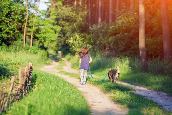 Bambina Che Cammina Con Cane Sulla Strada Nella Foresta — Foto Stock