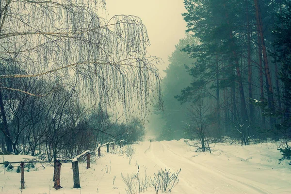 Landsbygdens Landskap Vintern Morgon Byn Lantlig Väg Täckt Med Snö — Stockfoto