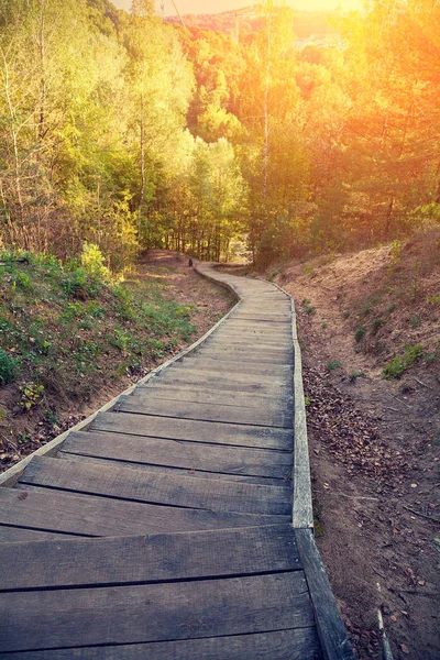 Wooden pathway in the park — Stock Photo, Image