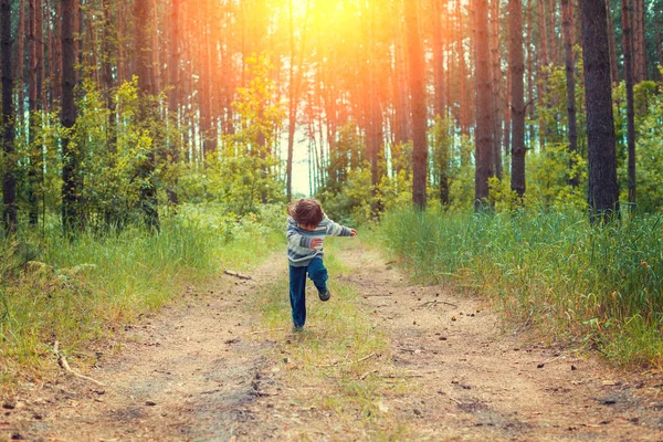 Kleines Mädchen läuft im Kiefernwald — Stockfoto