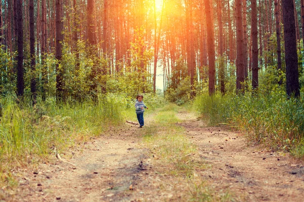 Liten flicka kör i tallskogen — Stockfoto