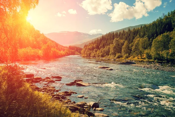 Rivière de montagne au coucher du soleil — Photo