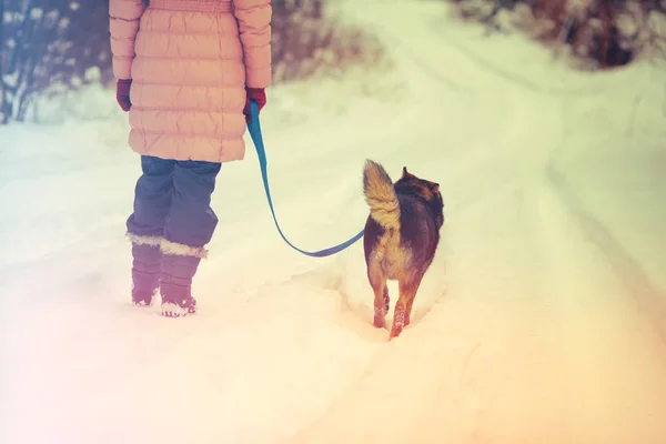 Young woman with dog walking on the snowy road — Stock Photo, Image