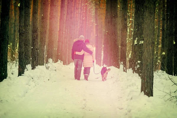Young couple in love kissing in winter at sunset — Stock Photo, Image