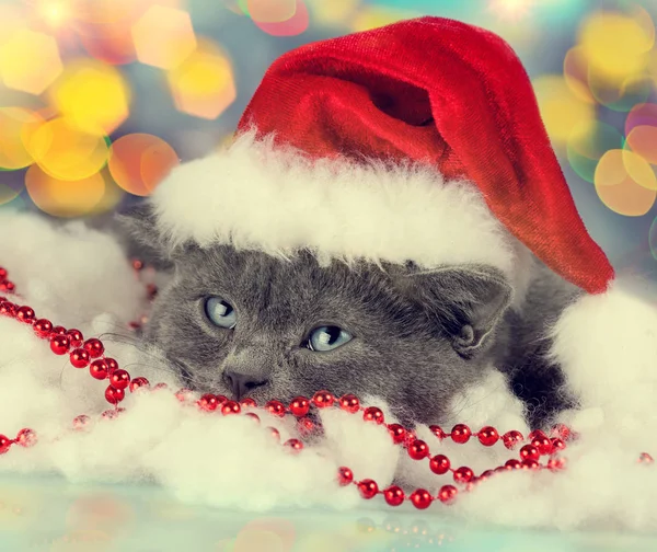 Little Kitten Wearing Santa Hat Lying White Artificial Snow — Stock Photo, Image