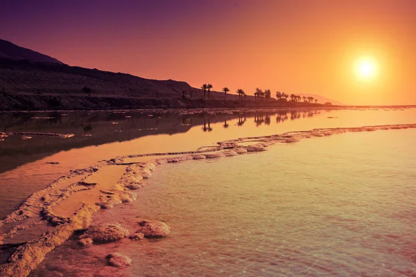 Dead Sea coast — Stock Photo, Image