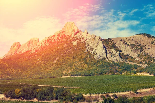 Гірська Долина з виноградник — стокове фото