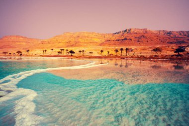 Ölü deniz deniz kıyısı