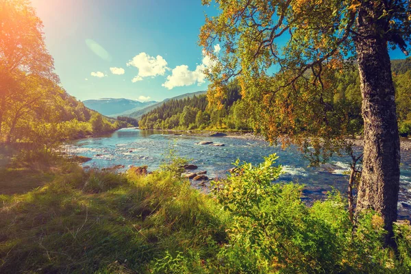 가을 의산 악 강 — 스톡 사진