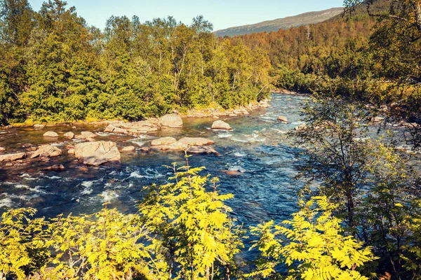 Mountain river in autumn — Stock Photo, Image