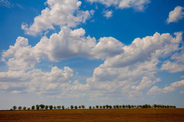Cloudy Blue Sky Ander Arable Field — Stock Photo, Image