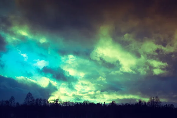Dramatyczne niebo nad lasem — Zdjęcie stockowe