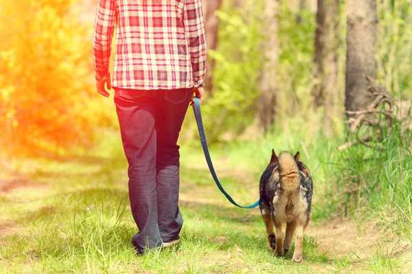 Kvinna med hund promenera i skogen — Stockfoto