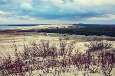 Parnidis dune Güz