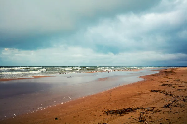 Brzeg morza z zachmurzonym niebem — Zdjęcie stockowe