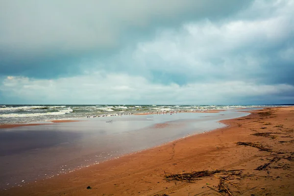 Sea shore with cloudy sky — Stock Photo, Image