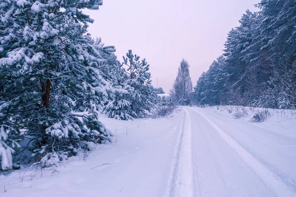 Karlı kırsal kış manzara — Stok fotoğraf